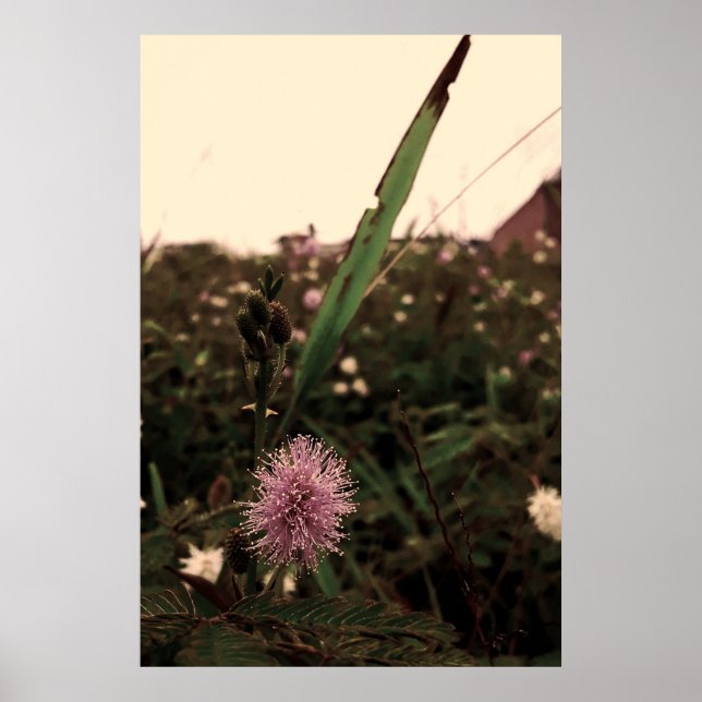 Póster Maria-fecha-a-porta  -FILTRO (Frente)