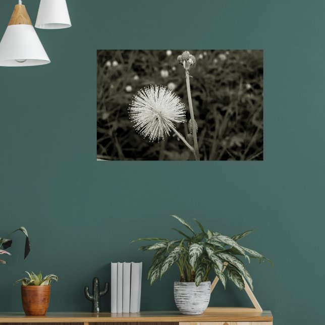 Póster Maria-fecha-a-porta - p&b (Salón 1)