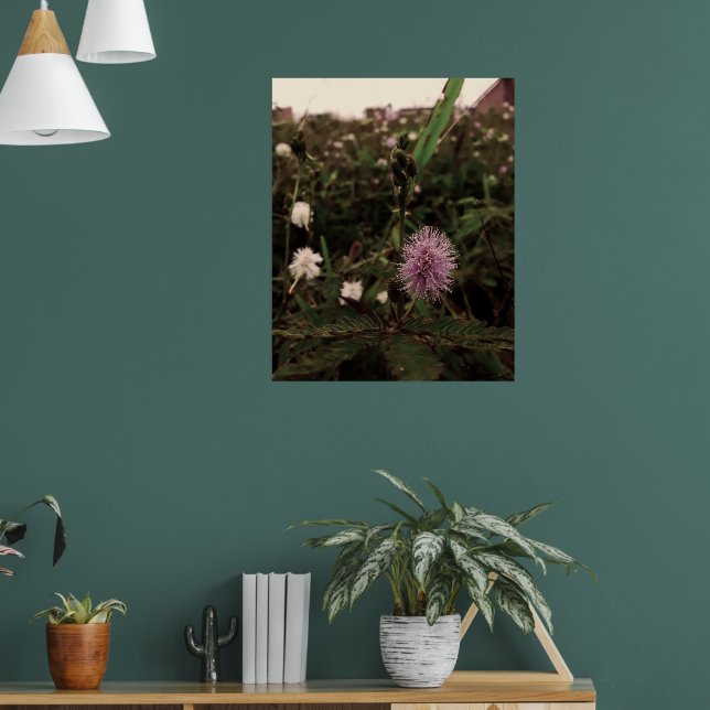 Póster Maria-fecha-a-porta - ROSA (Salón 1)