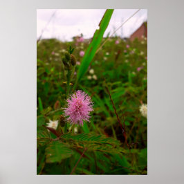 Póster Maria-fecha-a-porta - VERTICAL