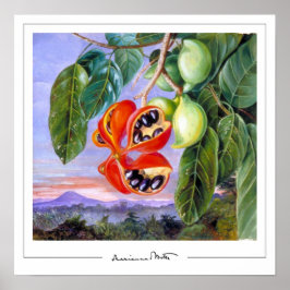 Póster Marianne North Zedin Art Poster #9