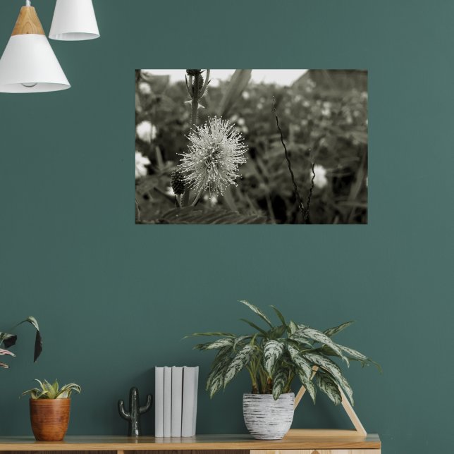 Póster MariaS-fecha-a-porta (Salón 1)