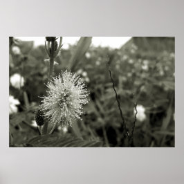 Póster MariaS-fecha-a-porta