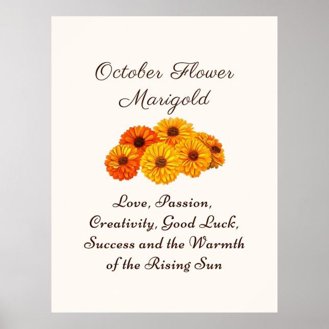 Póster Marigold Elegant (Frente)