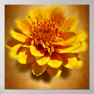 Póster Marigold Joy