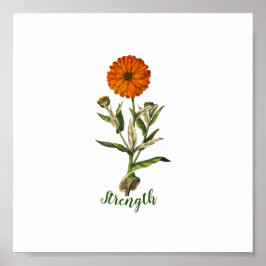 Póster Marigold Strength Inspirational