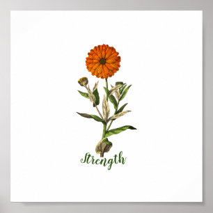 Póster Marigold Strength Inspirational