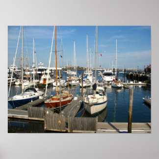 Póster Marina