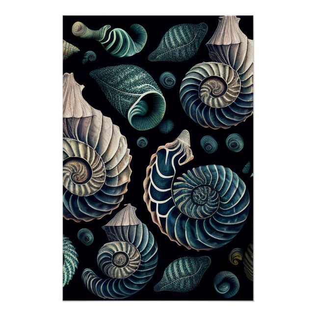 Póster Marine Treasures (Anverso)