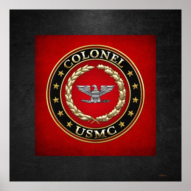 Póster Marines Estadounidenses: Coronel (USMC Col) [3D] (Frente)