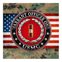 Marines Estadounidenses: Oficial de Orden 1 (USMC 