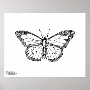 Póster Mariposa