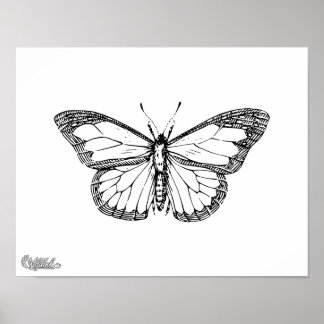 Póster Mariposa
