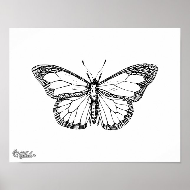 Póster Mariposa (Frente)