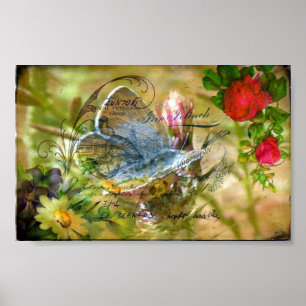 Póster Mariposa