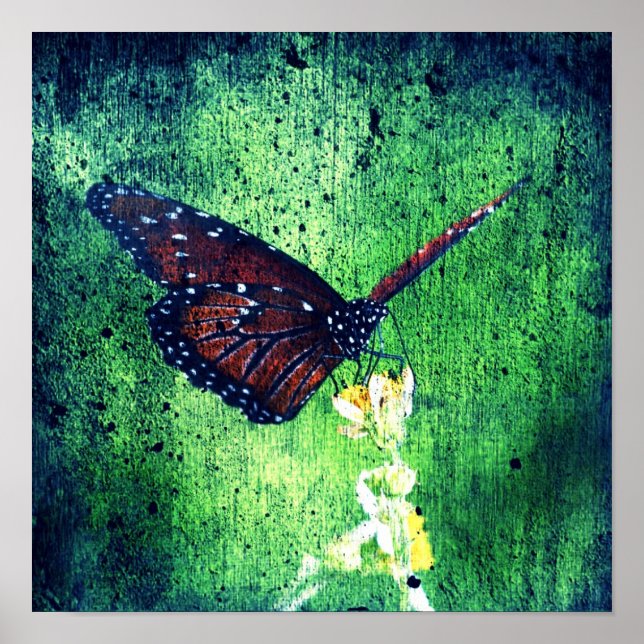 Póster Mariposa (Frente)