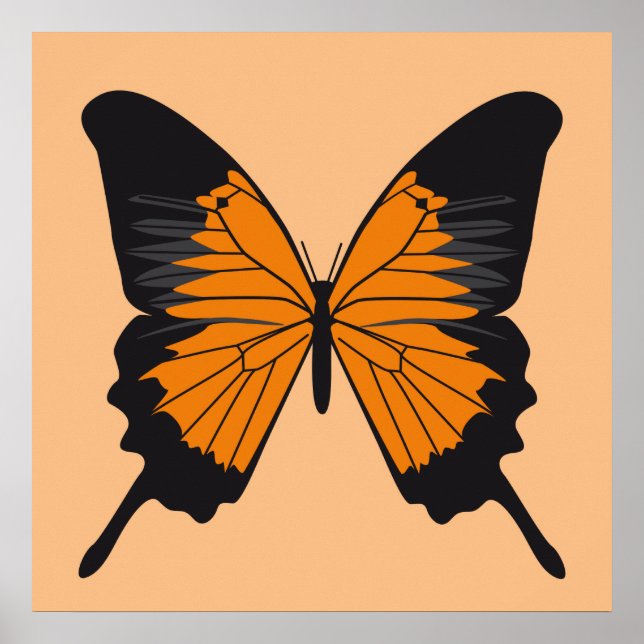Póster mariposa1 (Frente)