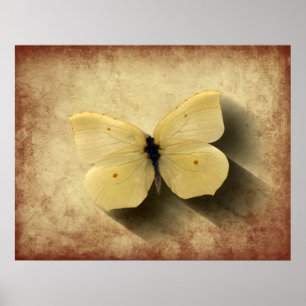 Póster Mariposa amarilla ondulada a la sombra