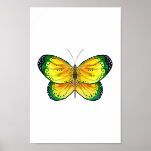 Póster Mariposa amarilla y verde