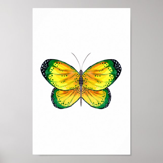 Póster Mariposa amarilla y verde (Frente)