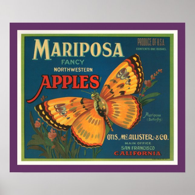 Póster Mariposa Apples (Frente)
