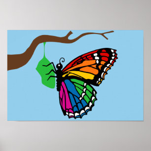 Póster Mariposa Arcoiris Emergente De Crisalis