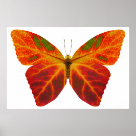Póster Mariposa Aspen Leaf 2