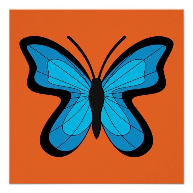 Póster Mariposa azul (Anverso)