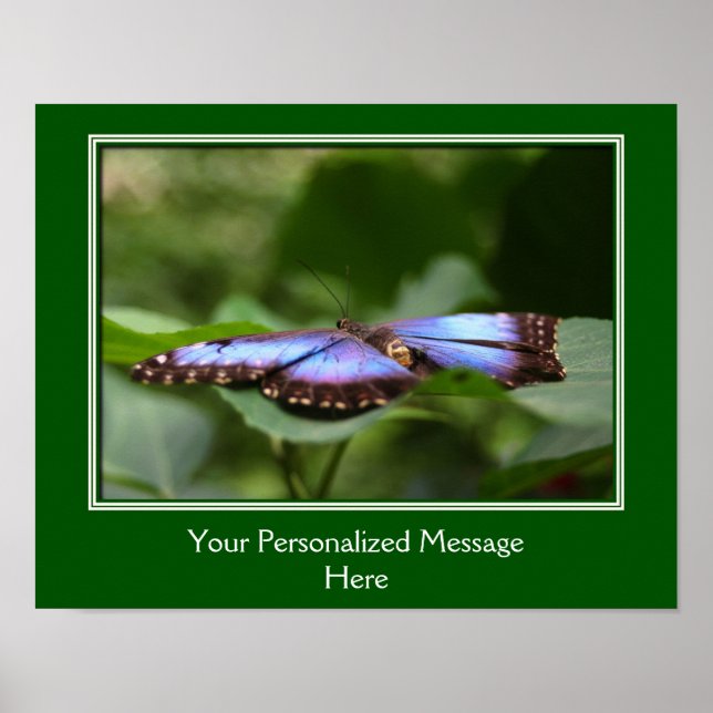 Póster Mariposa Azul Crea Tu Propia Cita (Frente)