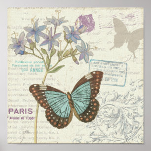 Póster Mariposa azul y marrón