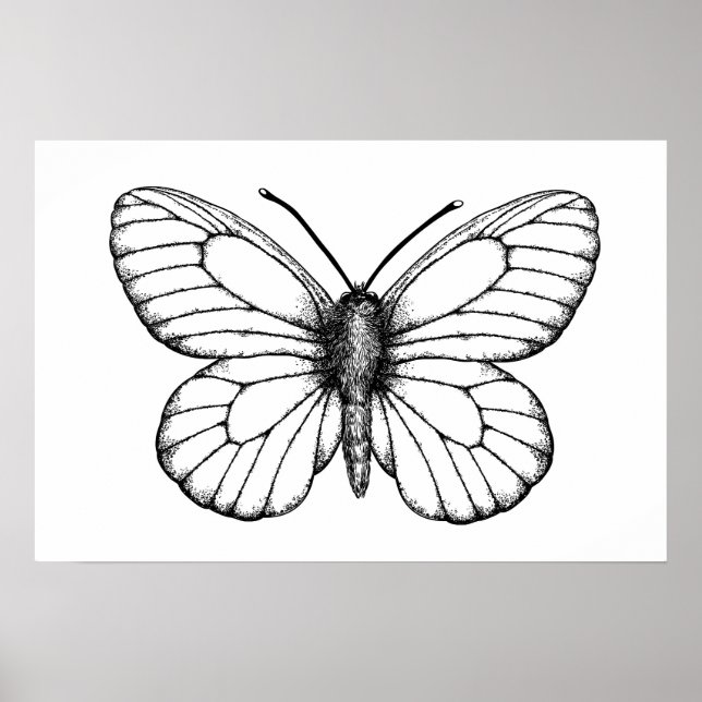 Póster Mariposa blanca (Frente)