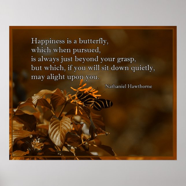 Póster Mariposa cebra con flor (Frente)