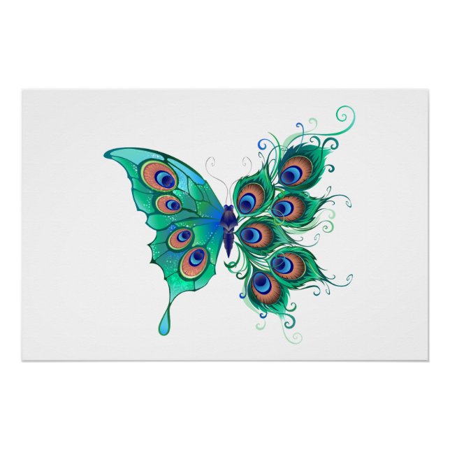 Póster Mariposa con plumas de pavo real verde (Anverso)