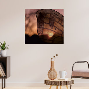 Póster Mariposa con puesta del sol de Shirley Taylor