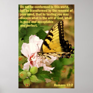 Póster Mariposa con romanos 12:2