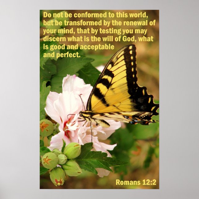 Póster Mariposa con romanos 12:2 (Frente)