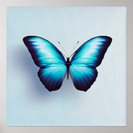 Póster Mariposa contra fondo blanco