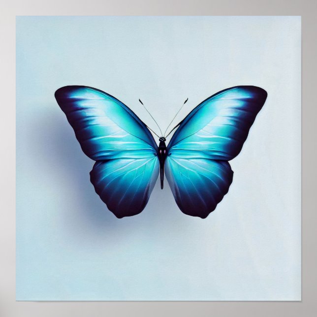 Póster Mariposa contra fondo blanco (Frente)