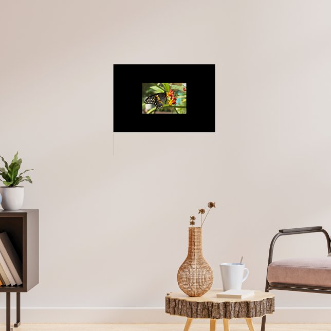 Póster Mariposa de cola cruda negra #2 (Salón 3)