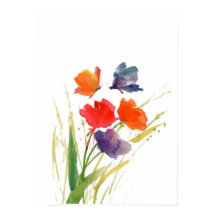 mariposa de color agua