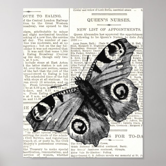 Póster Mariposa de época y guión negro y blanco (Frente)