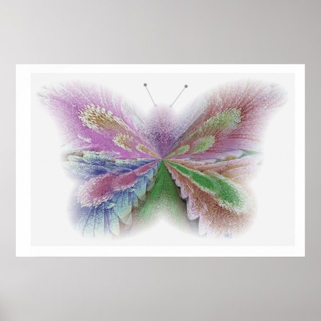 Póster Mariposa de flores (Frente)