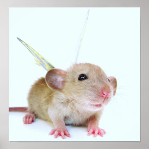 Póster Mariposa de la rata del bebé