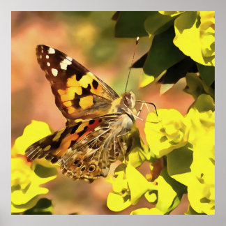 Póster Mariposa de Lady pintada en Myrtle Spurge
