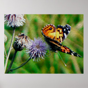 Póster Mariposa de monarca