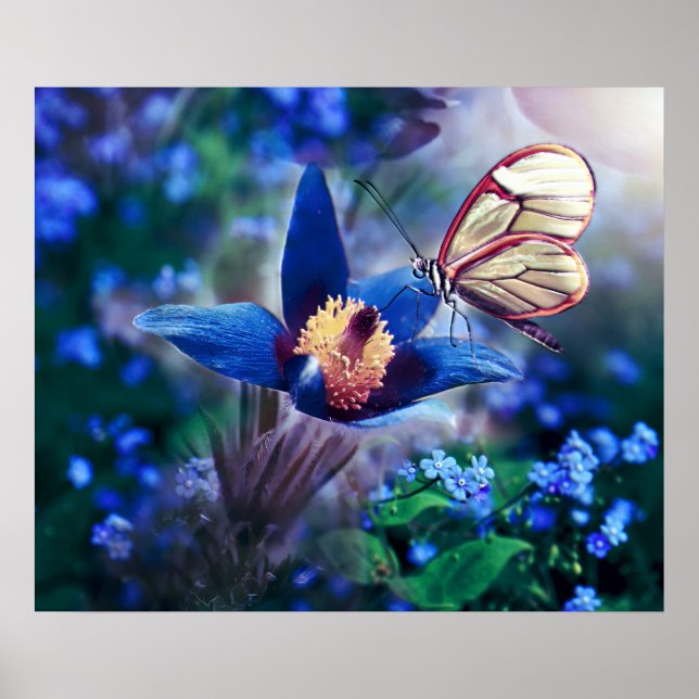 Póster Mariposa de primavera en flor azul (Frente)