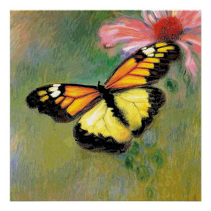 Póster Mariposa de verano de primavera -