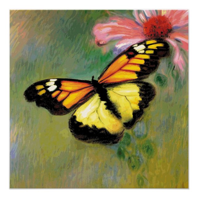 Póster Mariposa de verano de primavera - (Anverso)