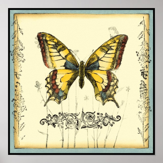 Póster Mariposa decorativa con flores silvestres (Frente)