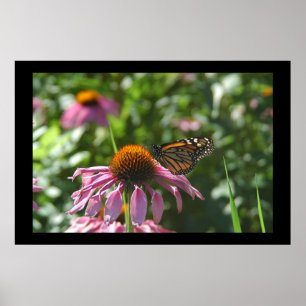 Póster Mariposa del parque de Como del lago